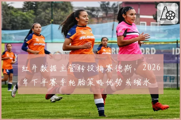 红牛数据主管转投梅赛德斯,2026年下半赛季轮胎策略优势或缩水