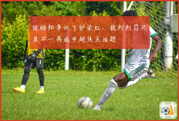 徐皓阳争议飞铲染红，裁判判罚尺度不一再成中超焦点话题
