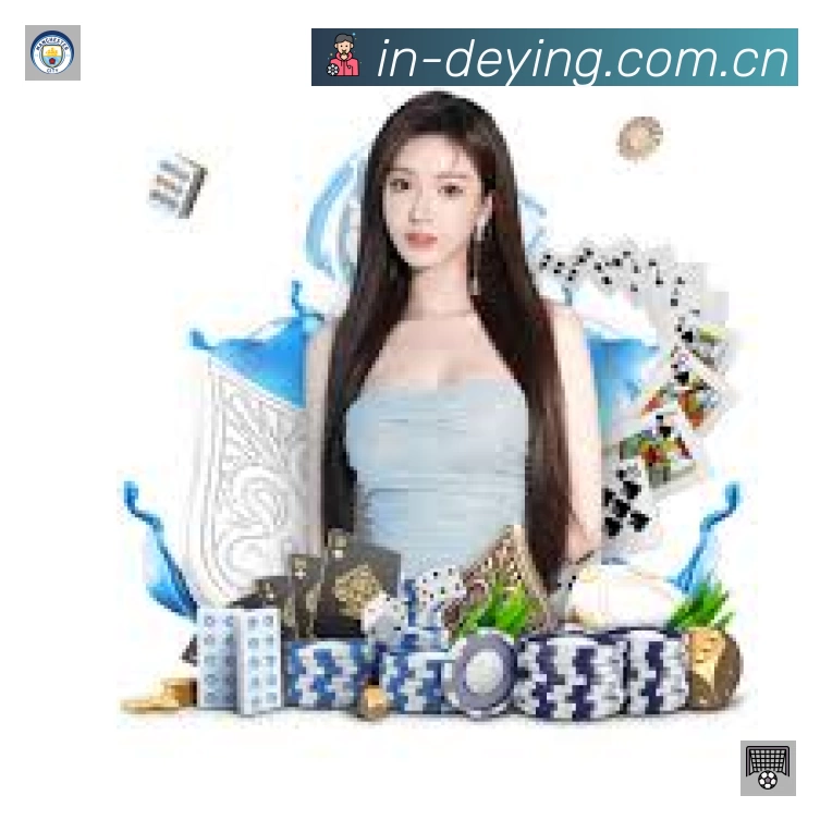 安全使用与支持流程